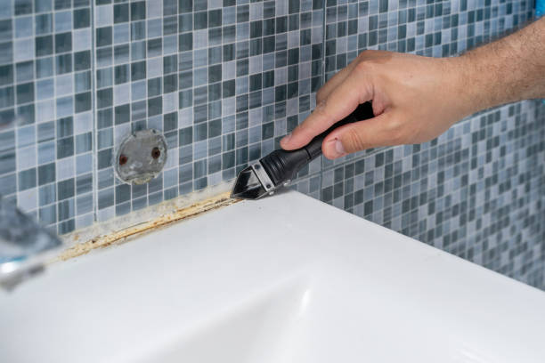 Best Basement Mold Remediation in Pisgah, AL
