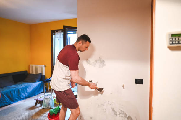 Best Attic Mold Remediation in Pisgah, AL